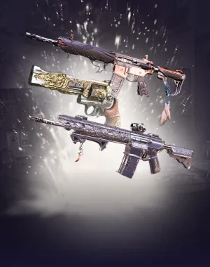 Raid Exotics Bundle