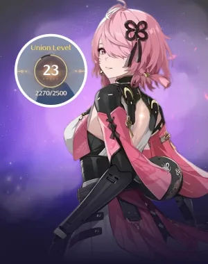 Union Leveling Boost