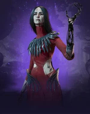 DbD Coaching