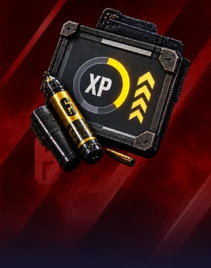 R6 Leveling