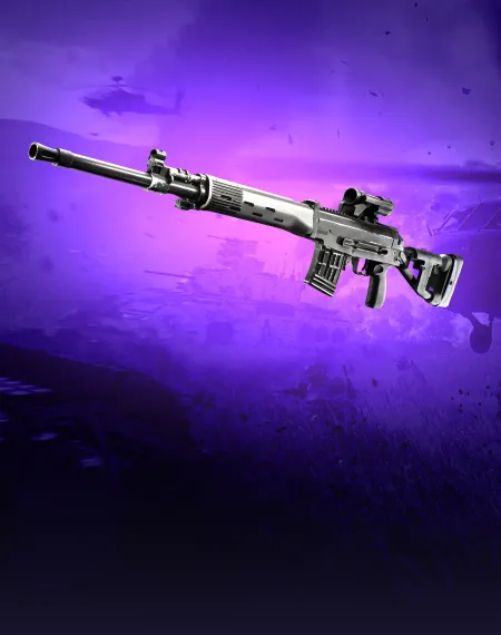 DMRs Leveling