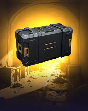 Cases